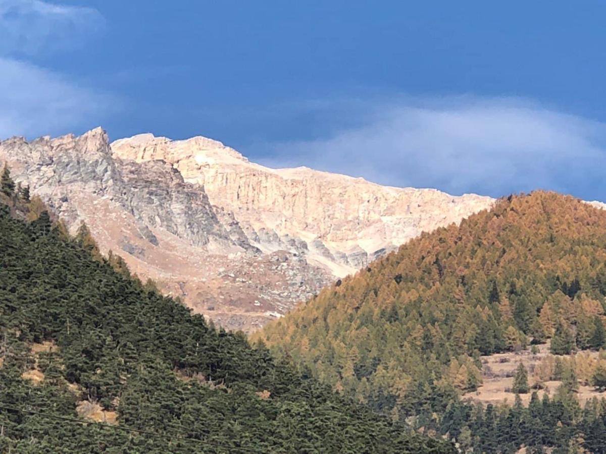 Gran Bosco Camping & Lodge Salbertrand Екстериор снимка