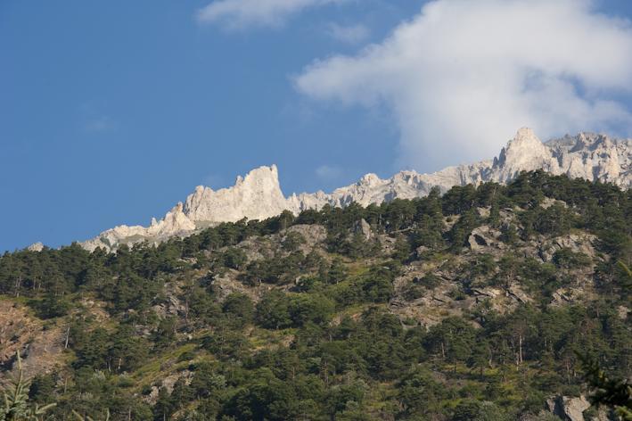 Gran Bosco Camping & Lodge Salbertrand Екстериор снимка