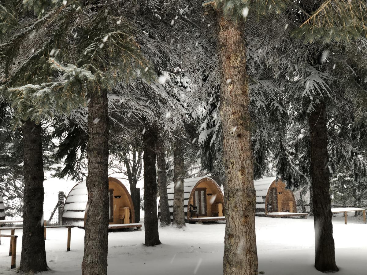 Gran Bosco Camping & Lodge Salbertrand Екстериор снимка